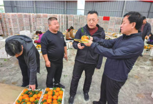 CMD368(中国区)体育有限公司官网