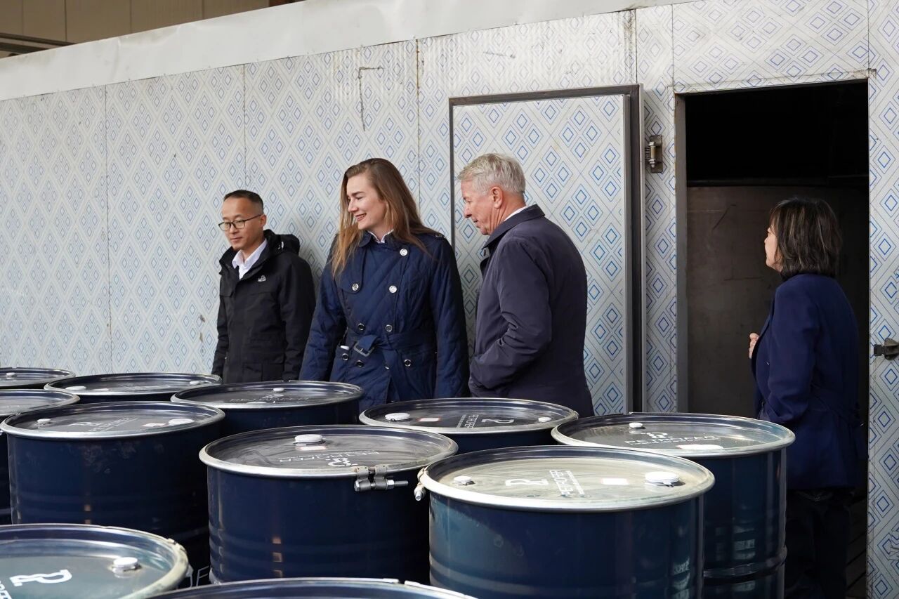 壹定发(中国游)最新官方网站