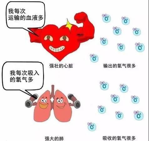 利来电游·w66(中国)官方网站